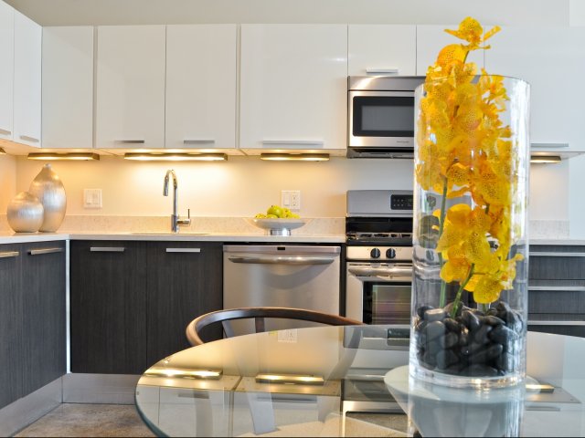 Spacious Kitchens with Quartz Countertops