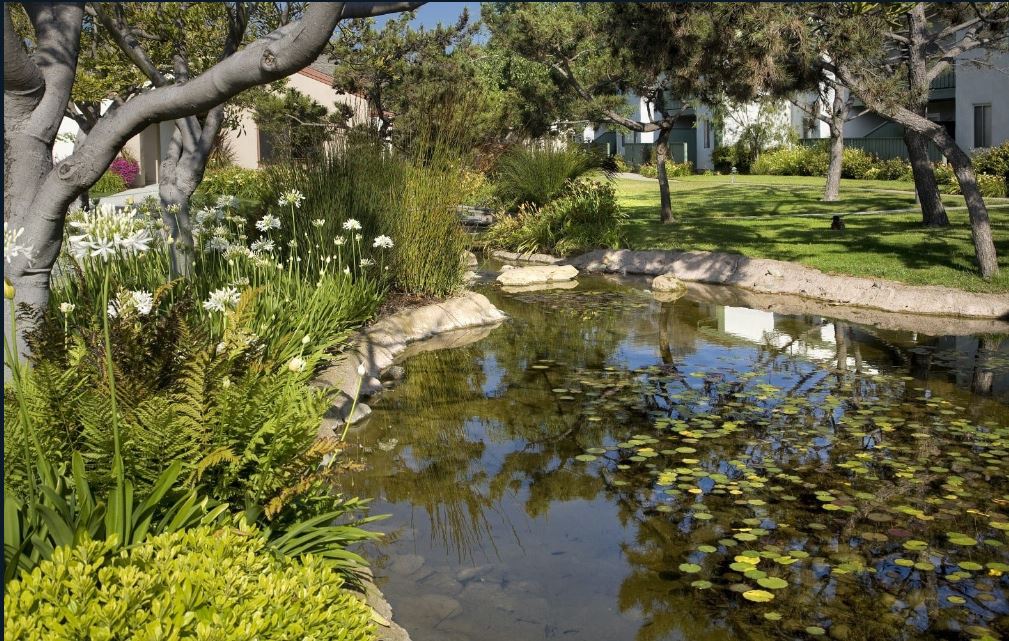 Pacific Oaks Image 15