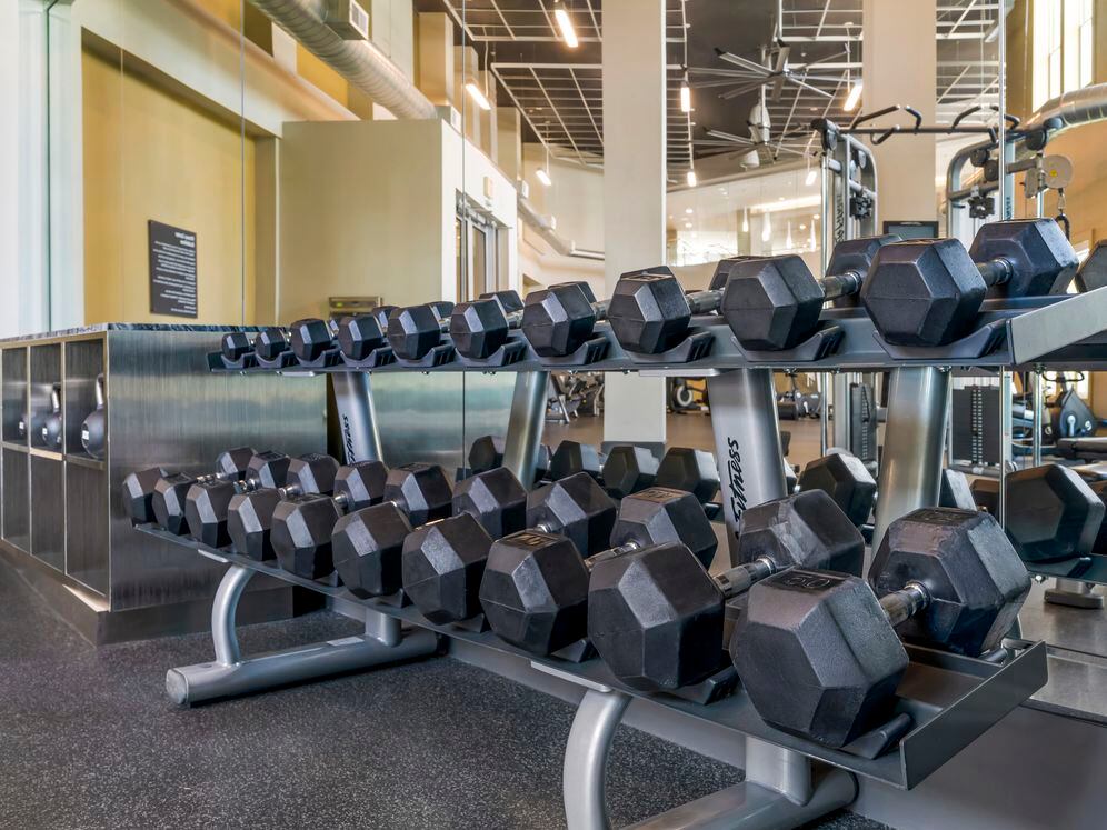 Fitness center with strength equipment
