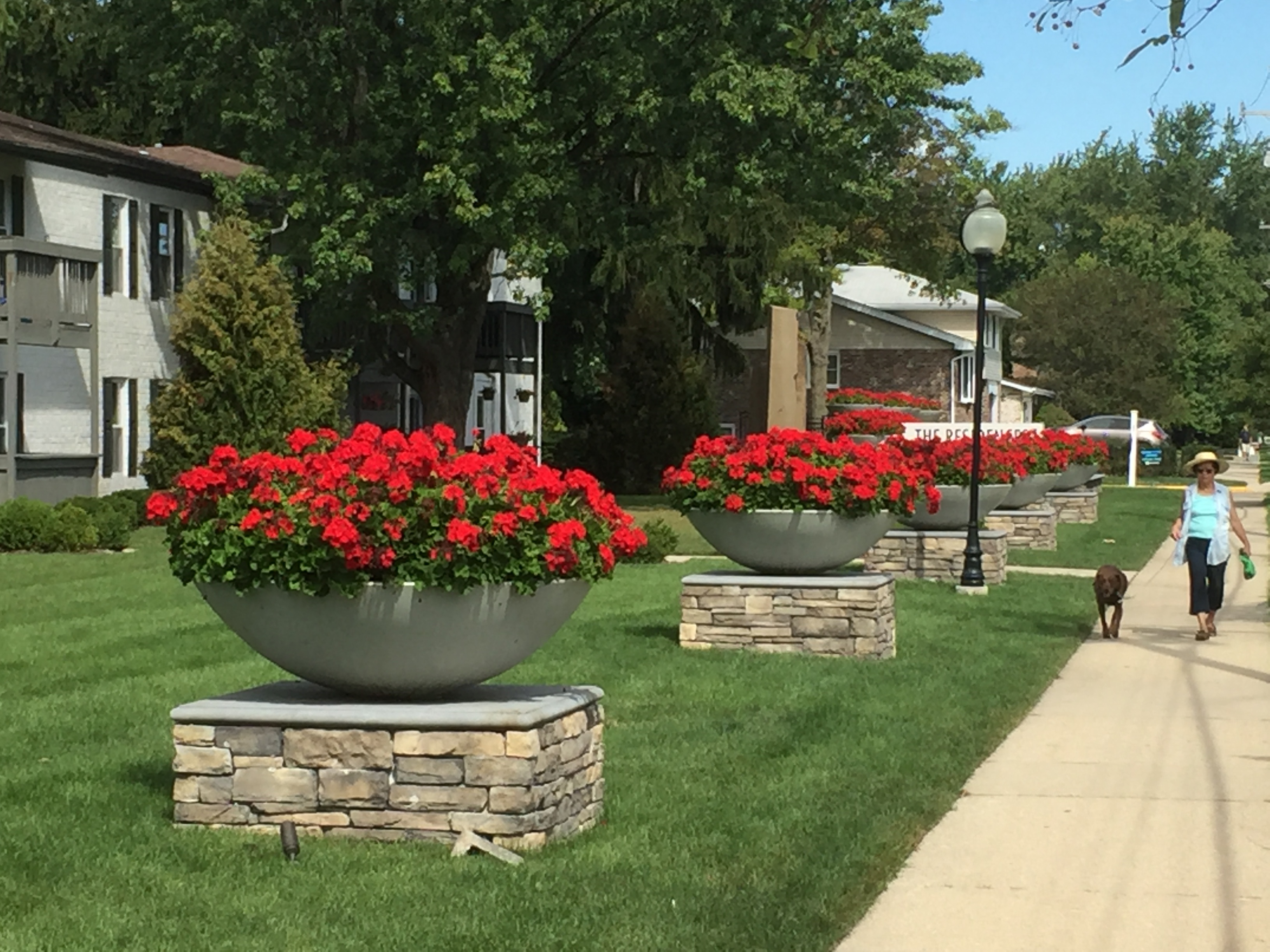 Residences at Arlington Heights Image 9