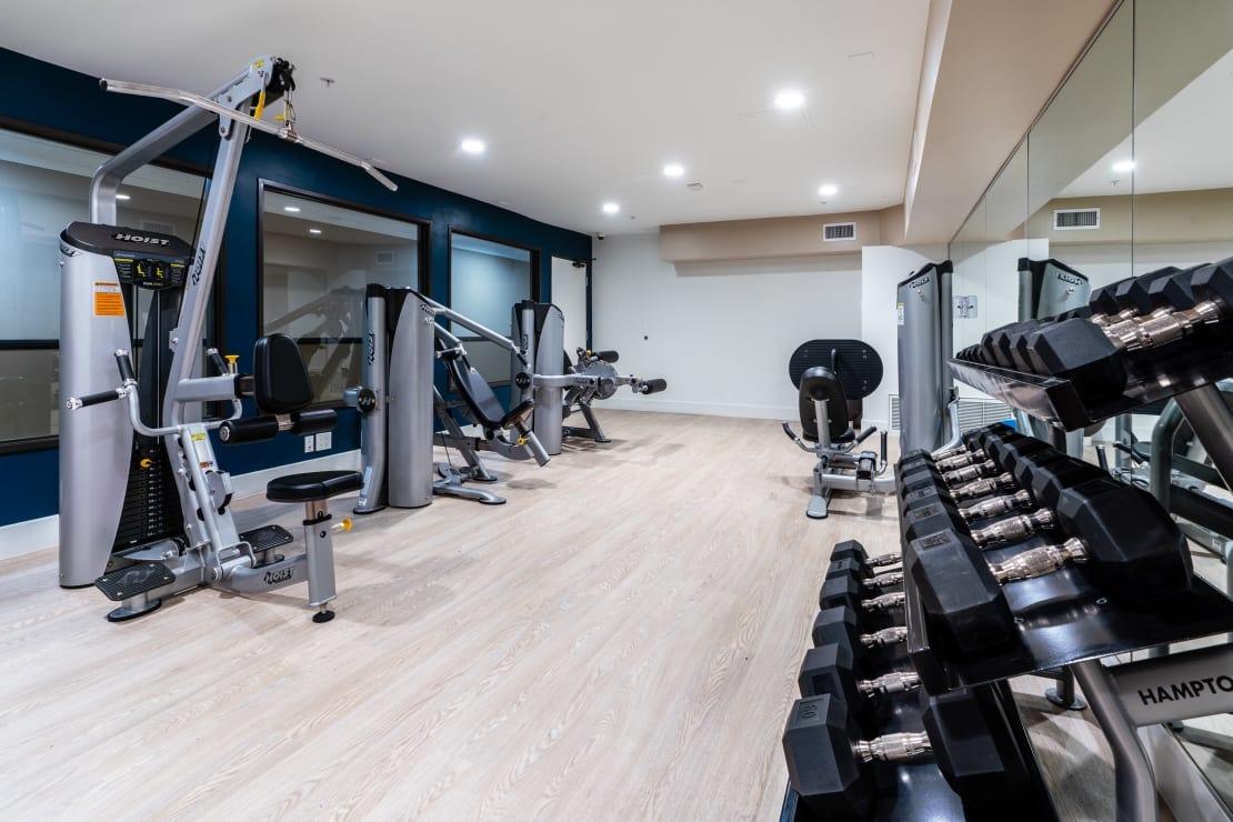 The Preston Miracle Mile Image 3