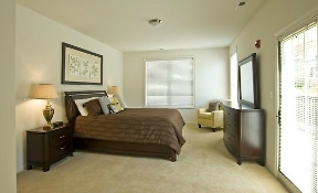 Dublin Terrace Image 12