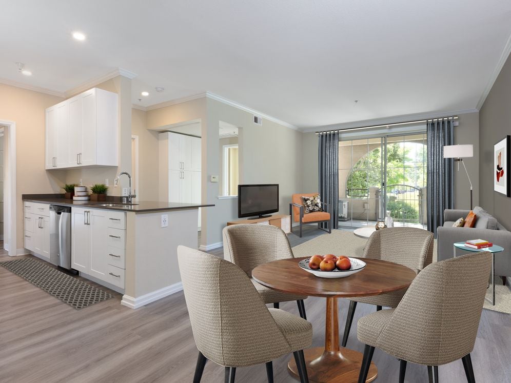 Upgraded Apartment Home Kitchen Living and Dining Areas