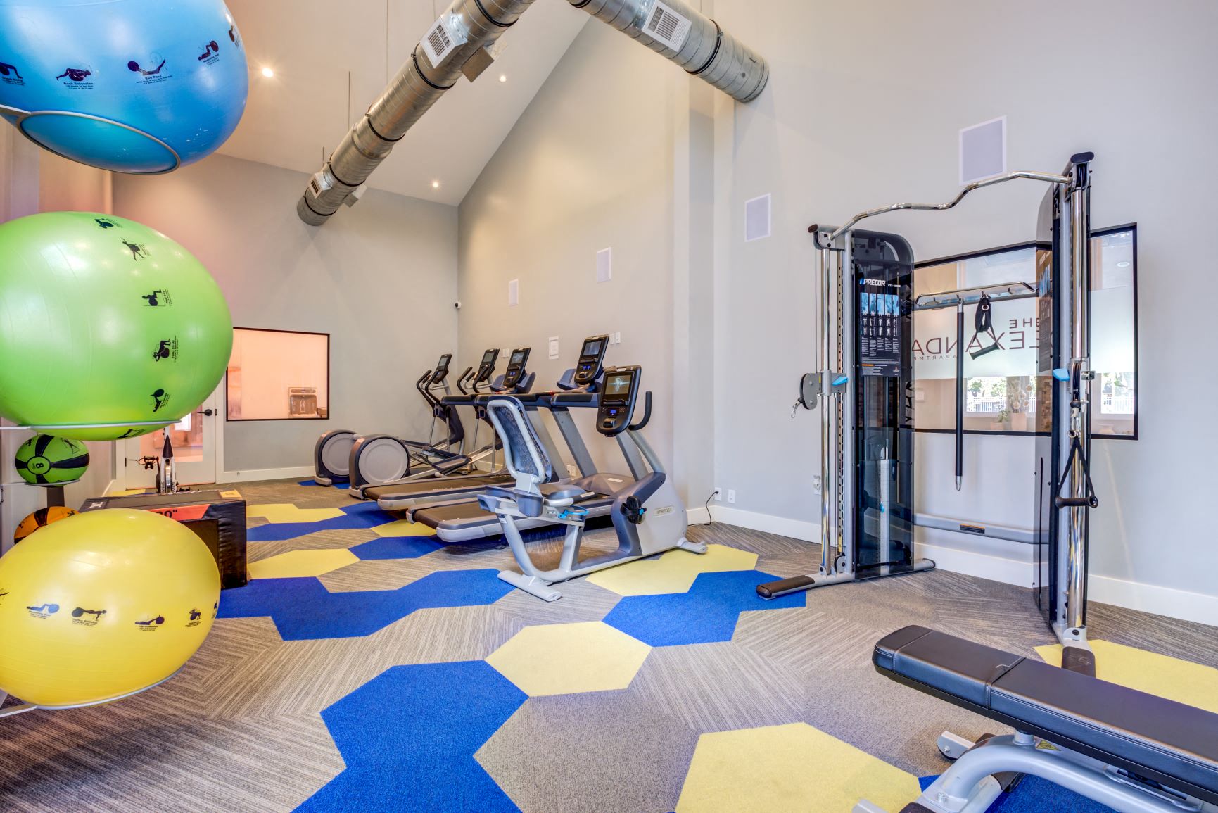 The Alexandar Image 11