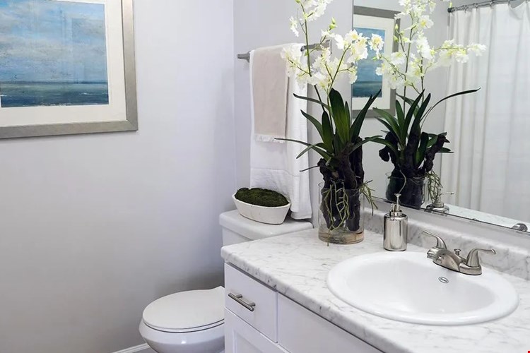 Our renovated bathrooms feature stunning marble-like countertops and gracious mirrors.