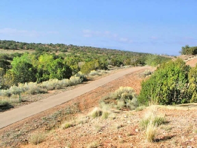 Bluffs at Tierra Contenta Image 10