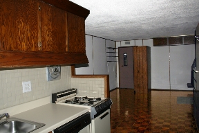 ambers The Vines Image 7