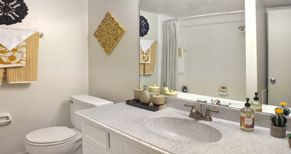 Waters of Winrock Apartments Image 10