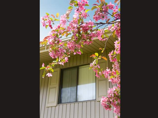 Lindenbrooke Image 23