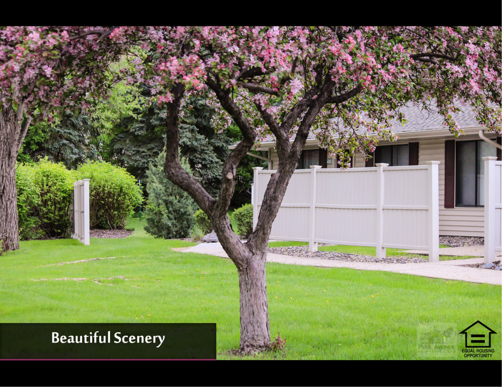 Auburn Townhomes Image 1