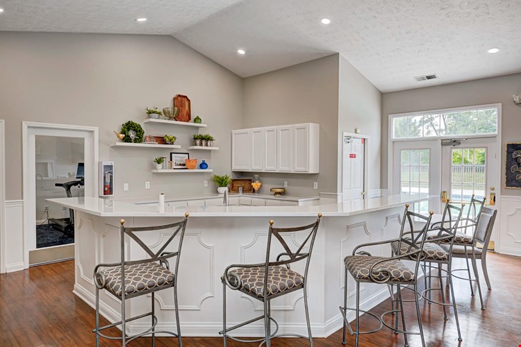 Autumn Chase Image 16