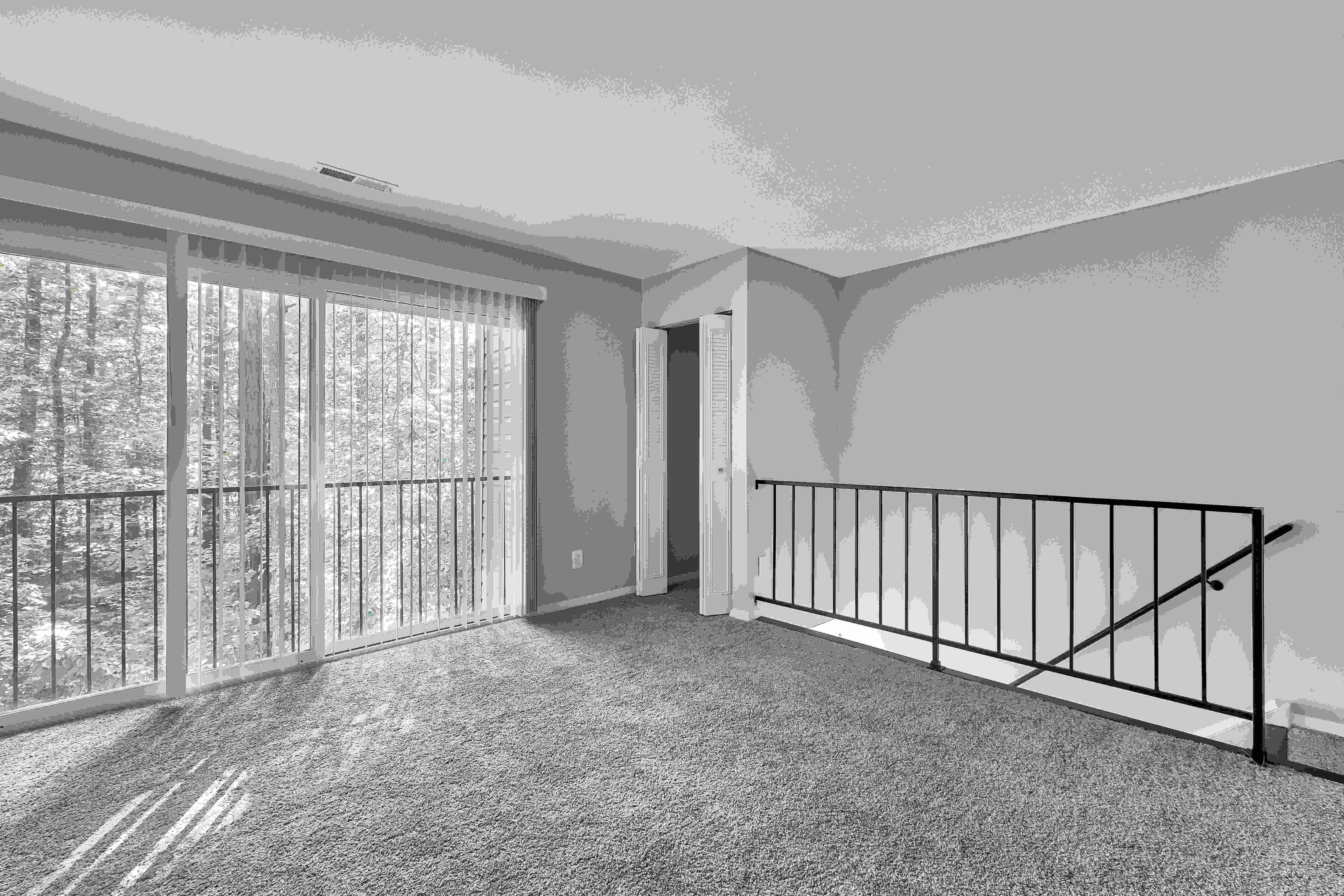 Woods of Williamsburg Image 13