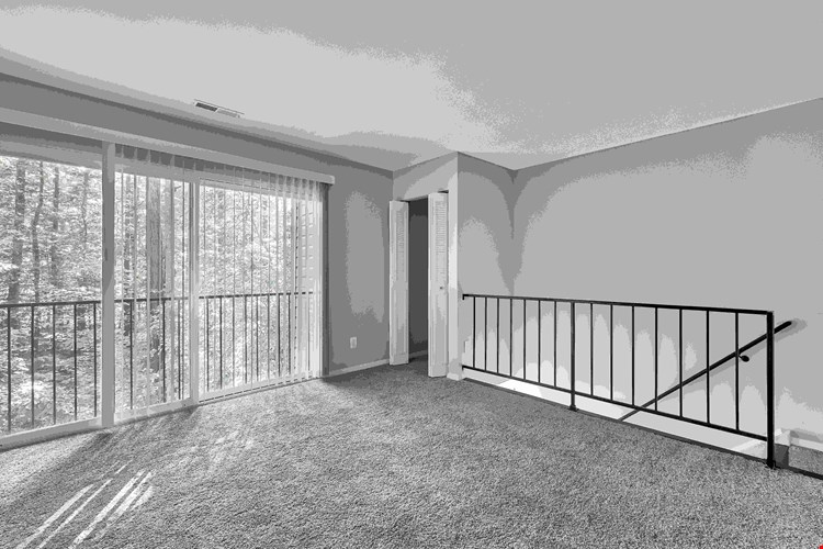 Woods of Williamsburg Image 13