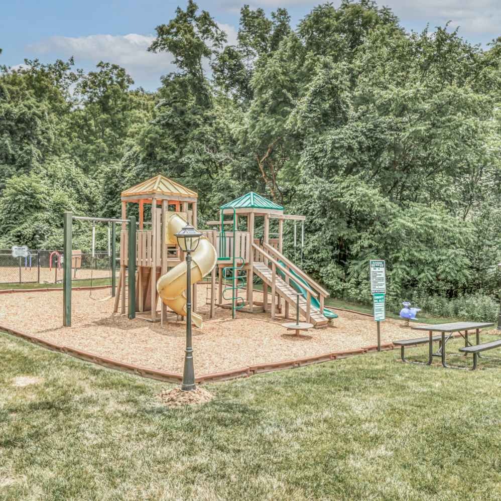 Timber Trails Image 5