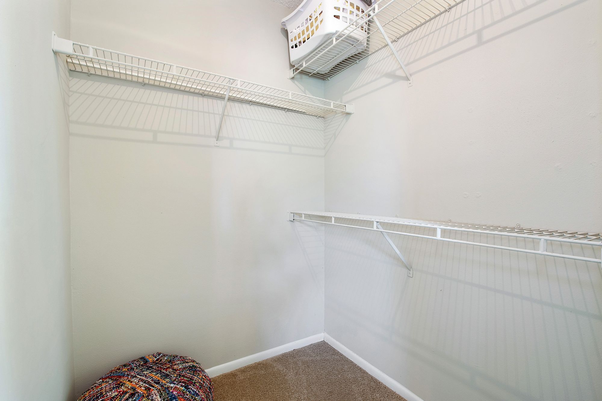 Arium Winter Park  Image 10