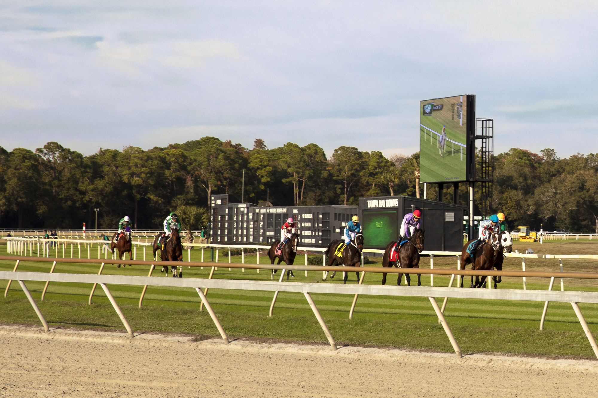 Camden Westchase Park Image 39