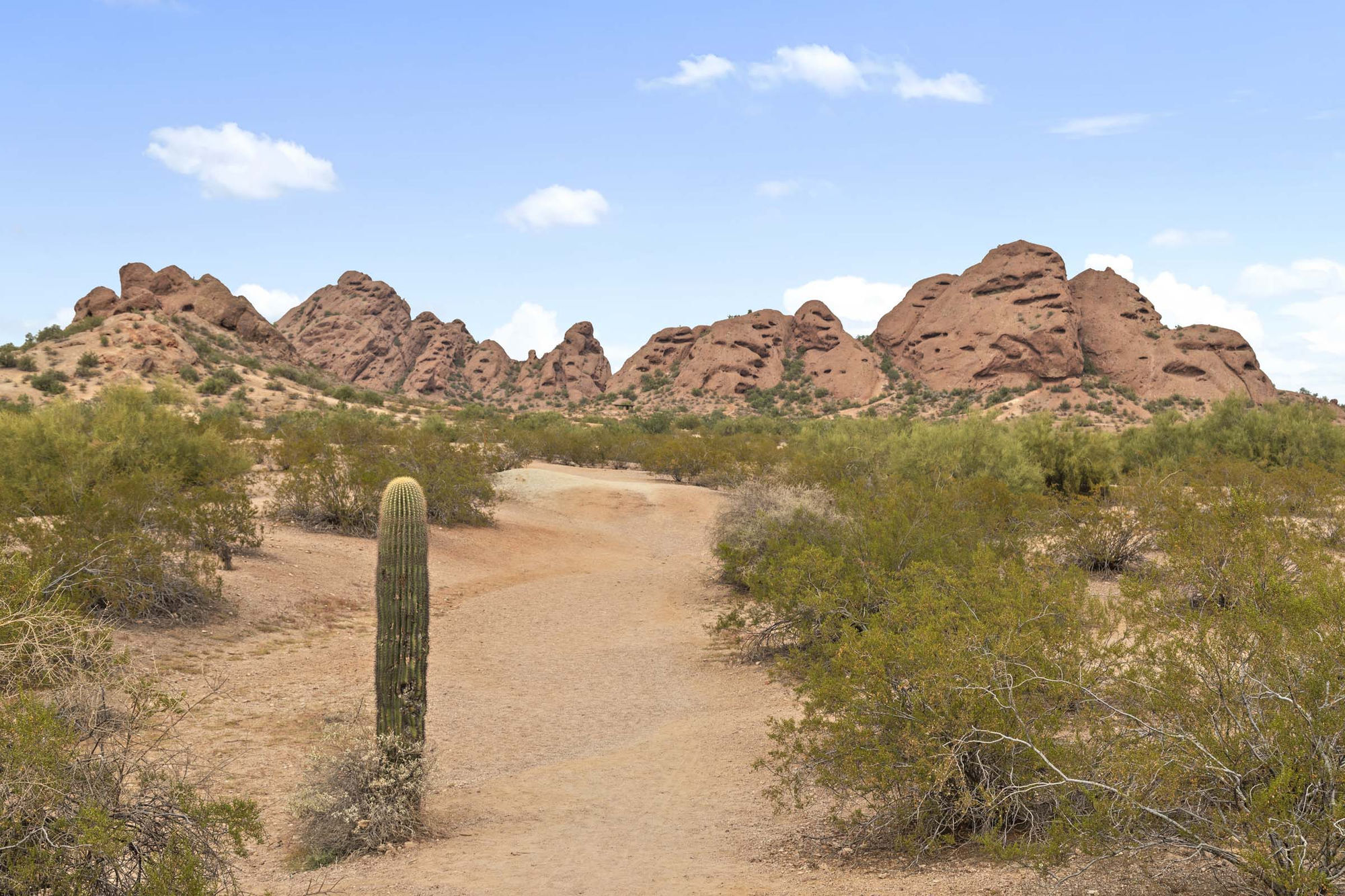 Camden Sotelo Image 36