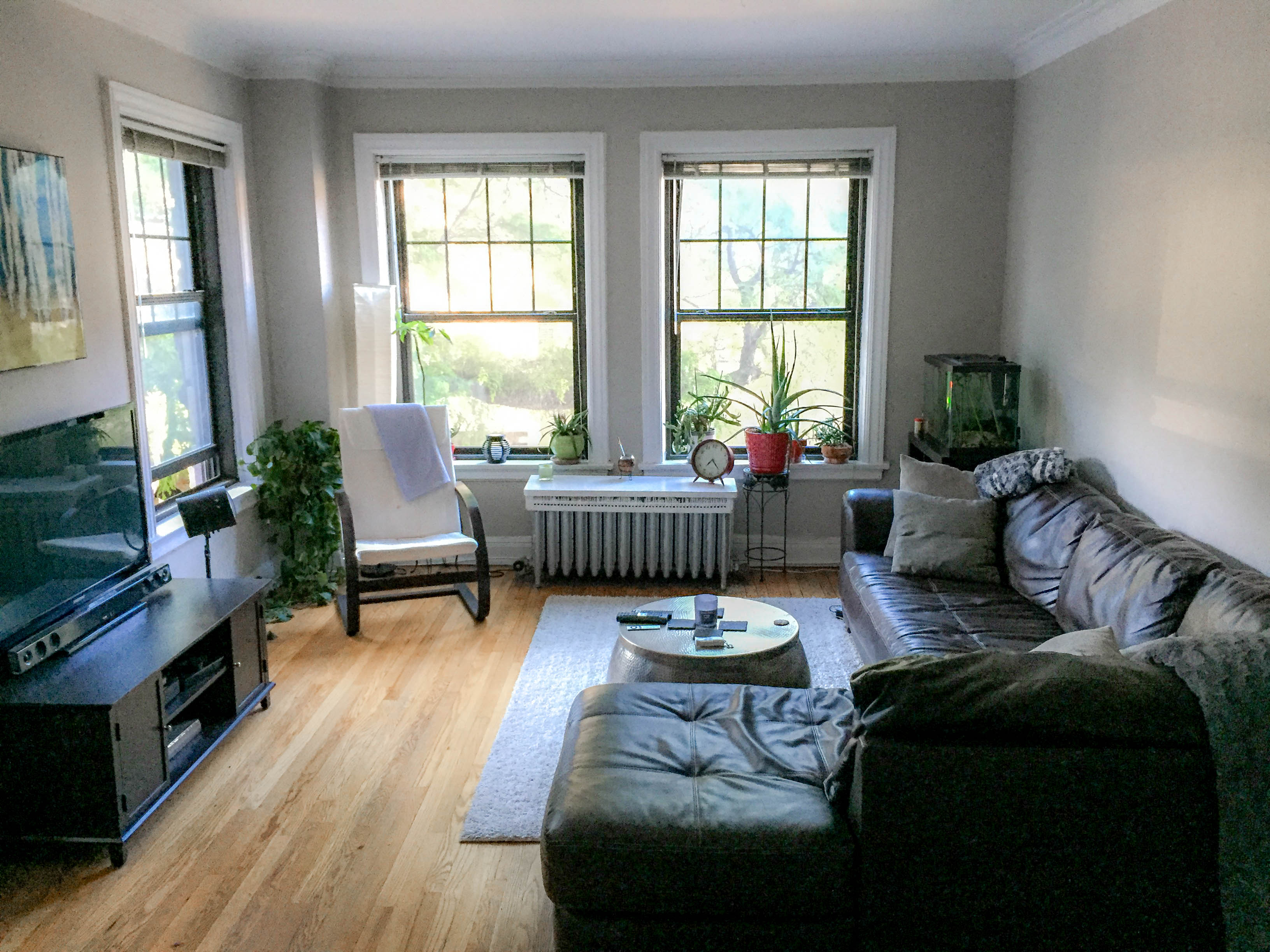 540 W. Briar Image 34