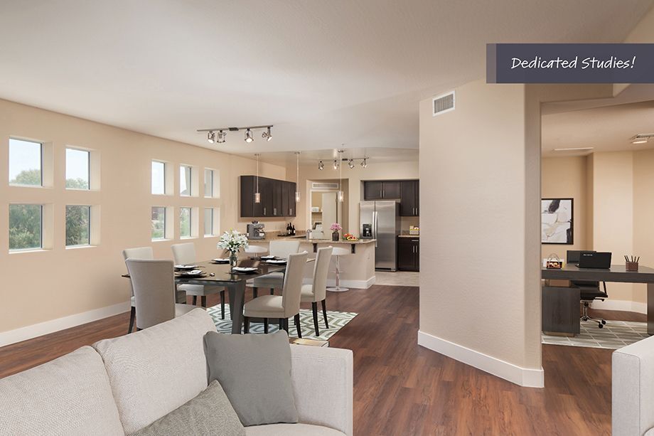 Camden Sotelo Image 3