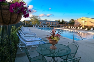 Park Ridge Commons Image 1