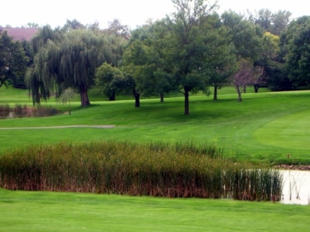 Shadow Green Image 4