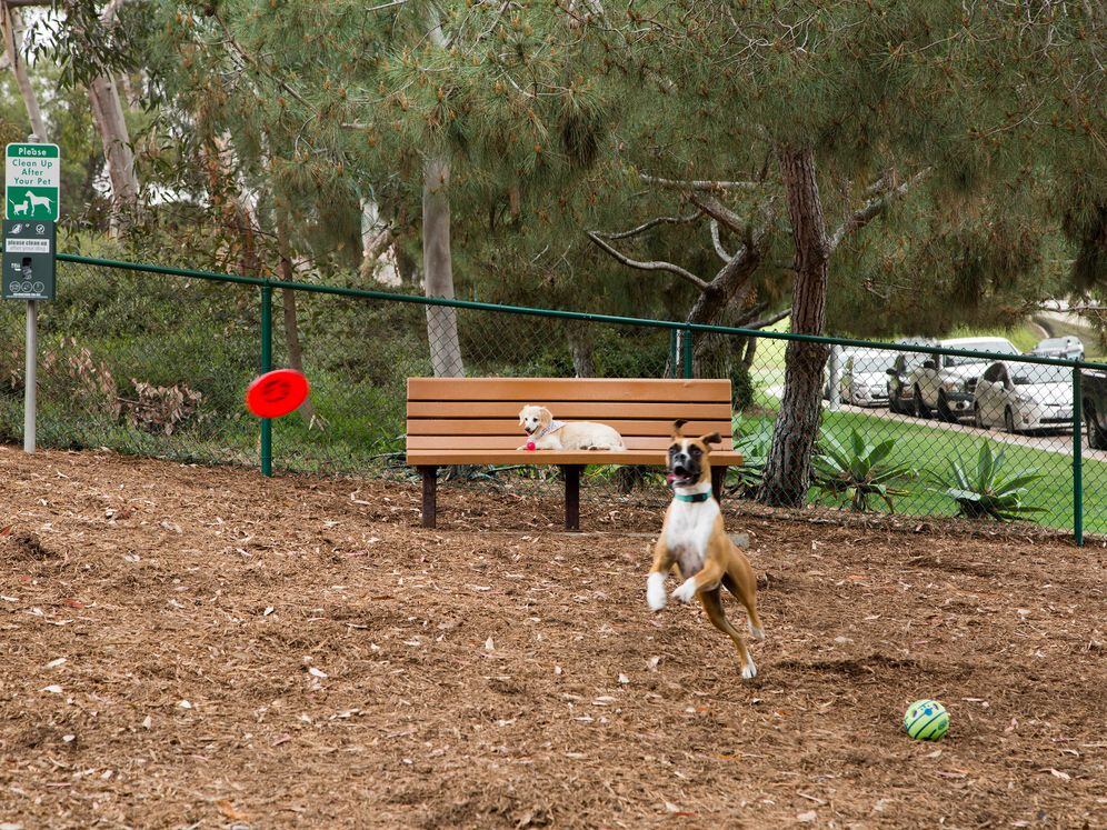 Public Dog Park Adjacent to Community
