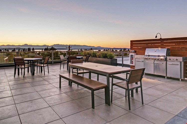 Springline  Image 34