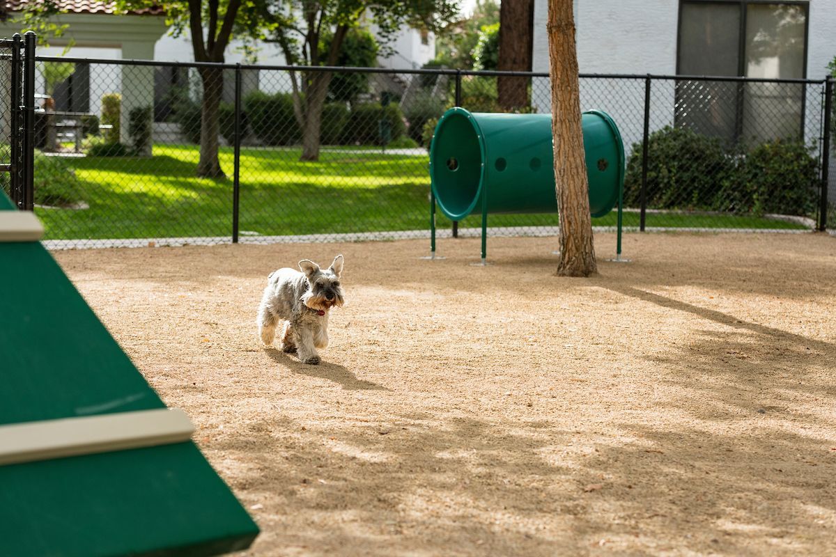 San Antigua In Mccormick Ranch Image 26