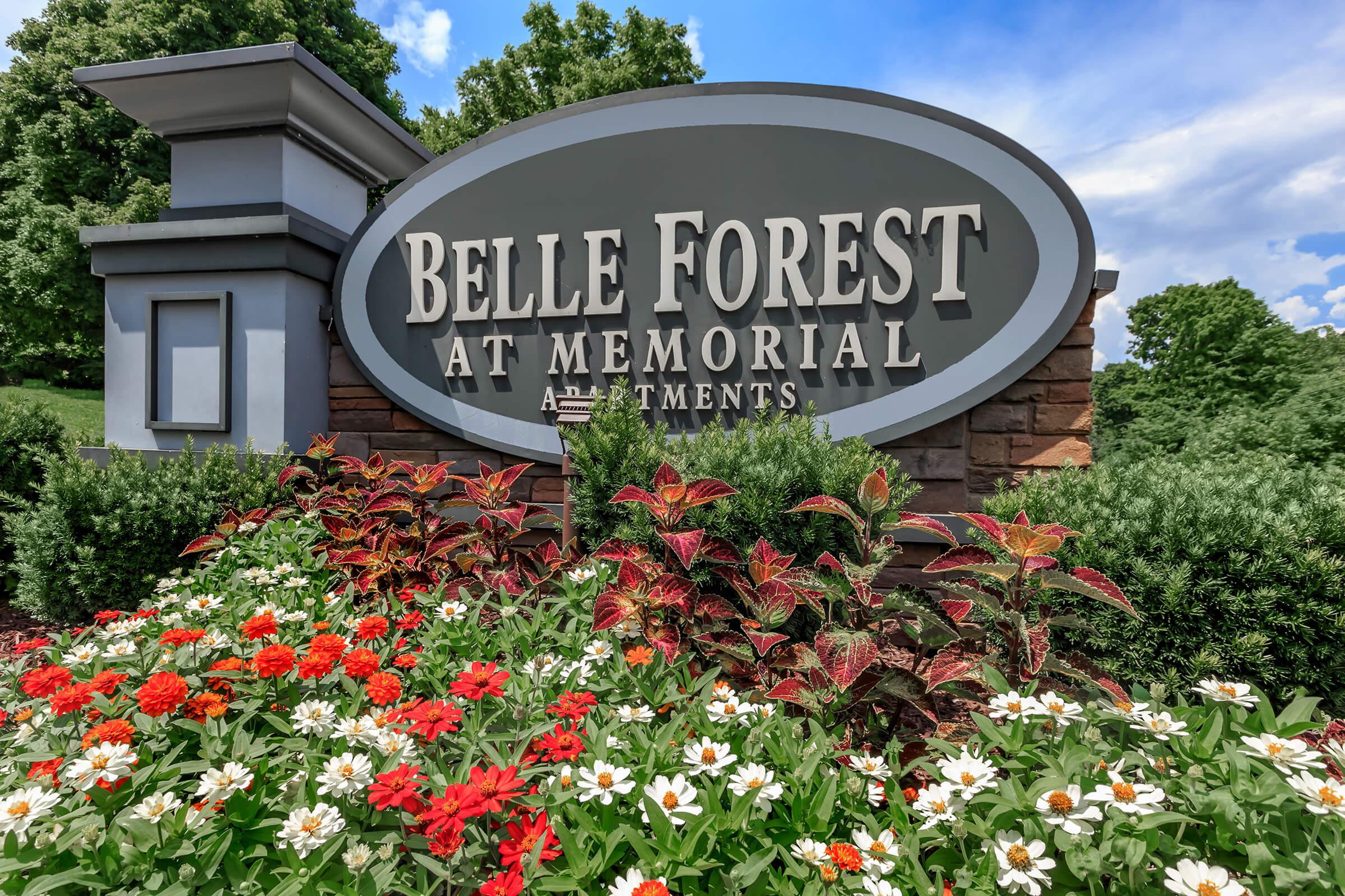 Belle Forest at Memorial Image 1