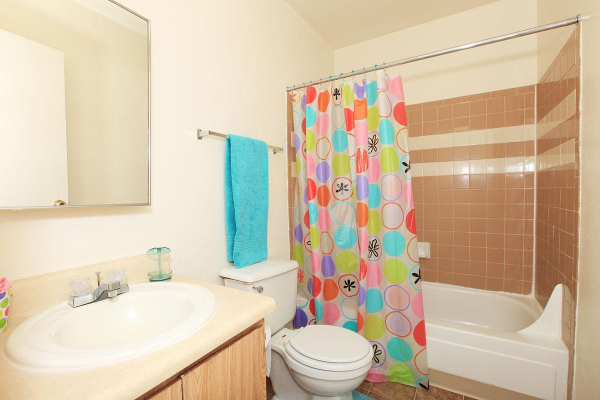 Mission Creek Image 7