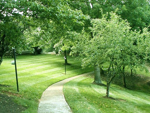 Mountain View Image 21