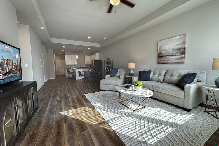 French District Villas Image 4