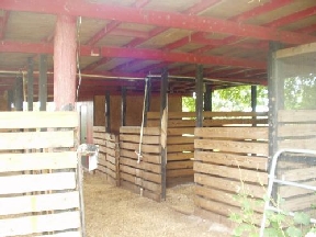 Lake Worth Ranch Image 8