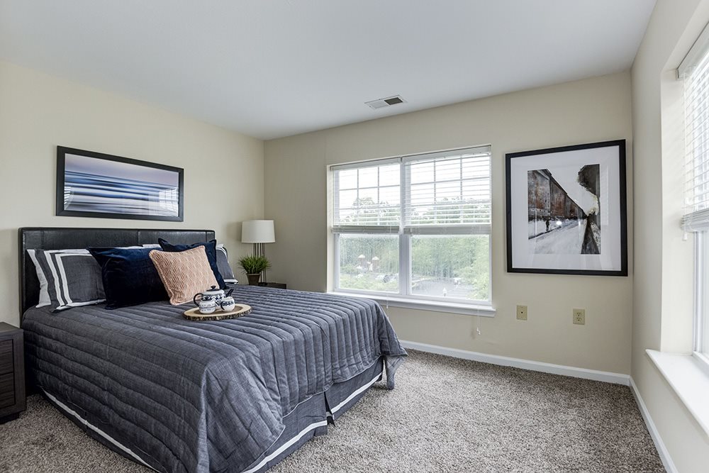 SomerHill Farms Image 10