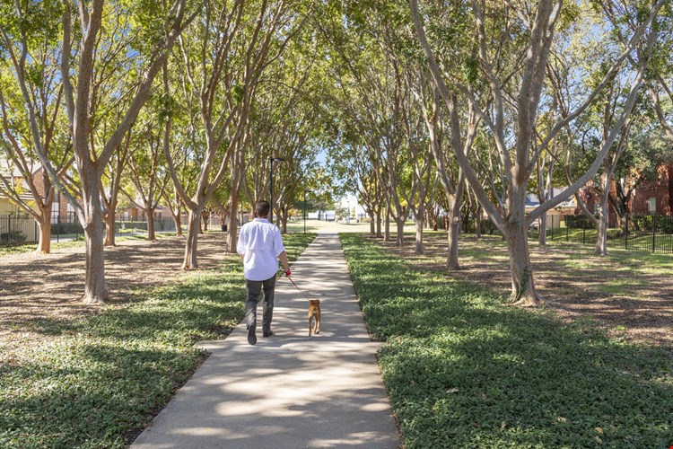 Camden Addison Image 43