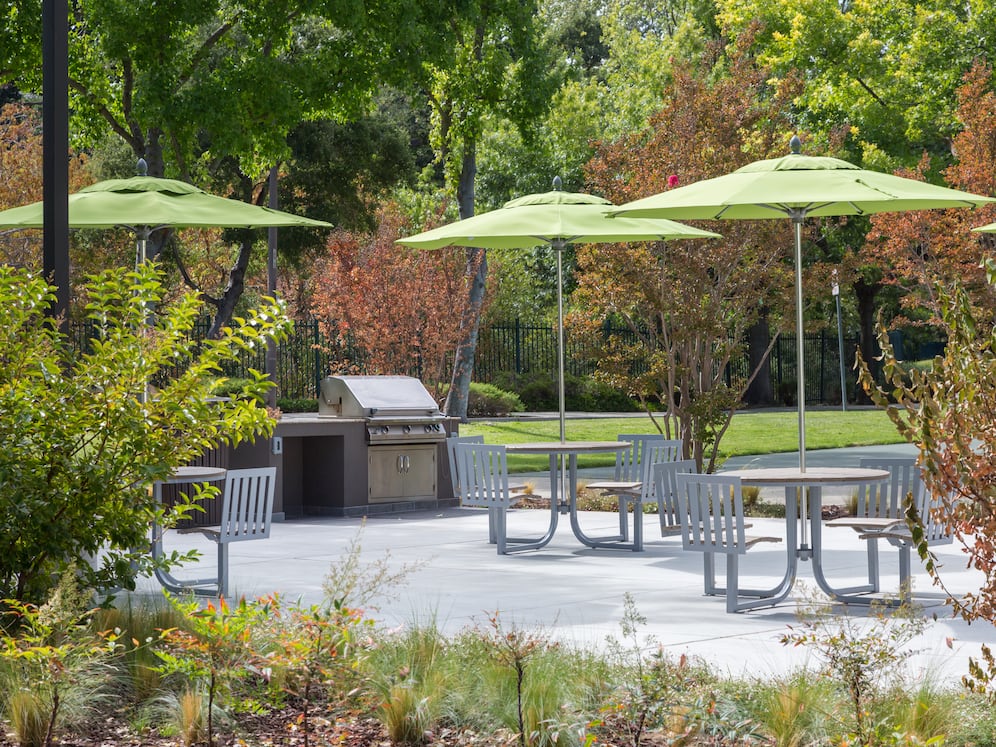 Barbecue grills and picnic areas