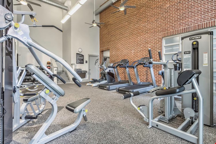 Camden Dilworth Image 16