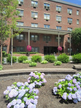 Towne Towers Image 3