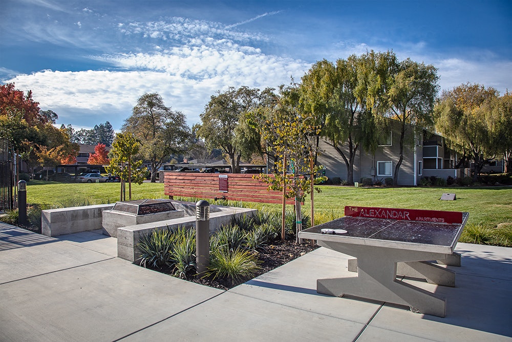 The Alexandar Image 21