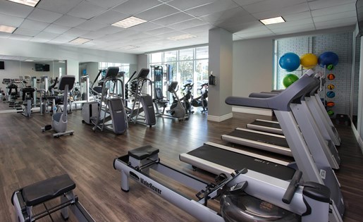 Elements on Third Image 20