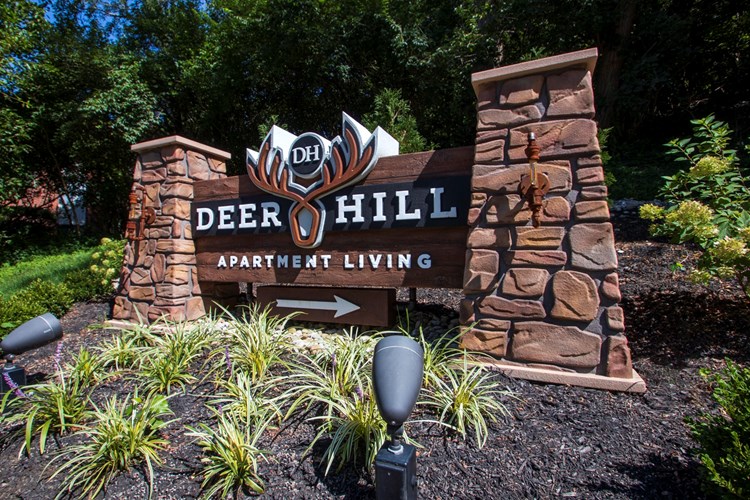 Deer Hill Image 64