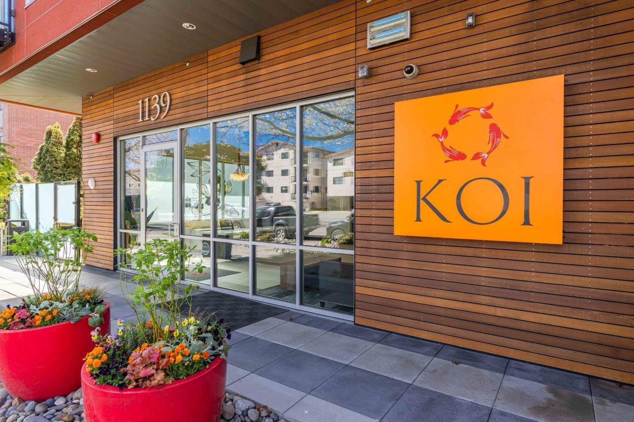 Koi Image 15