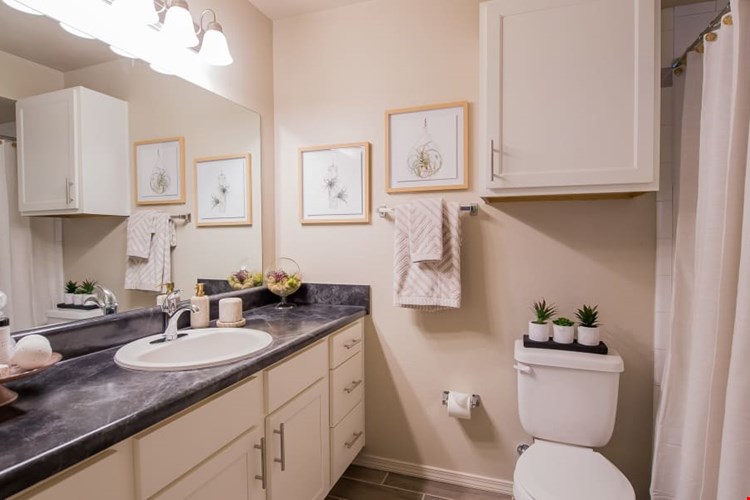 Cedar Ridge Image 8