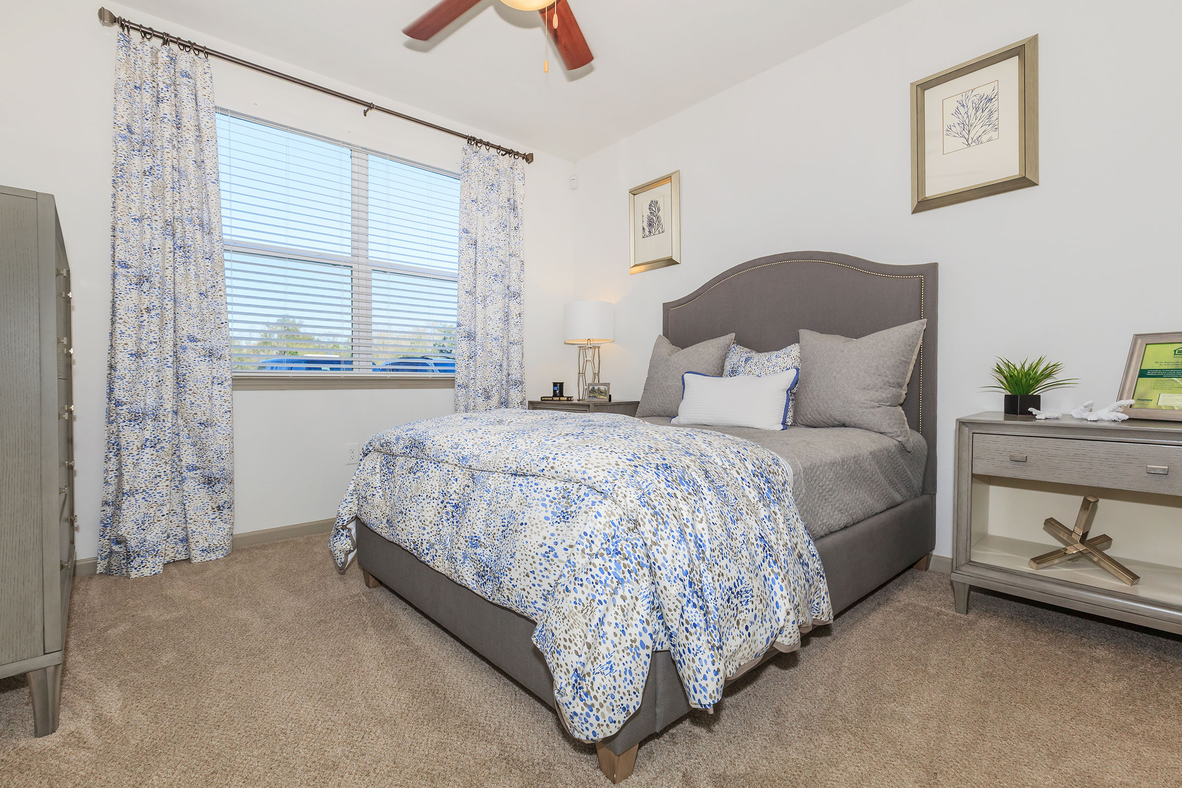 Sola South Lux Apartments Image 15