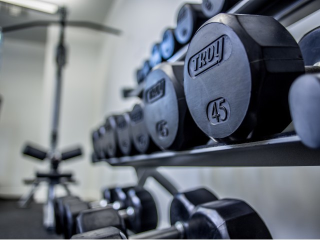 Wilshire Margot Image 8