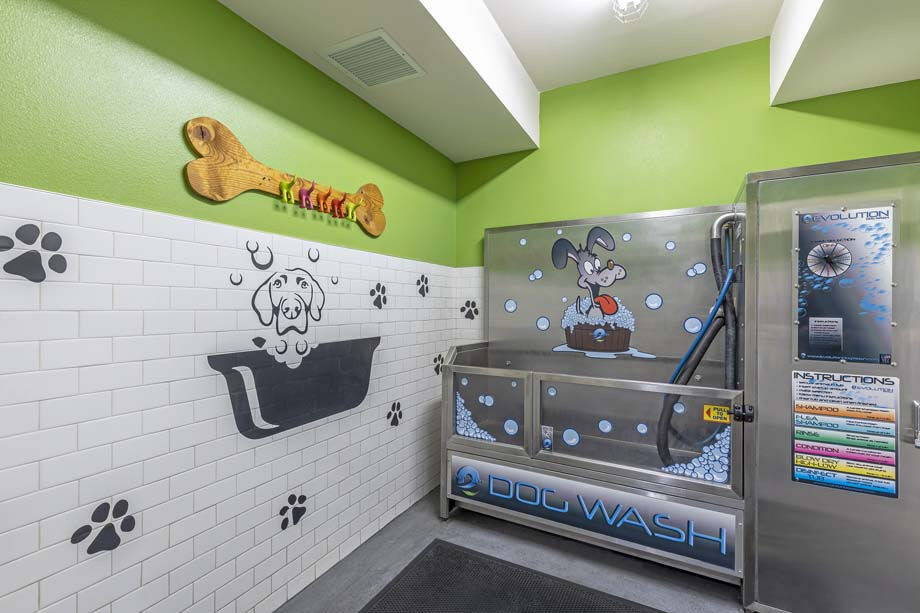 Camden Glendale Image 42