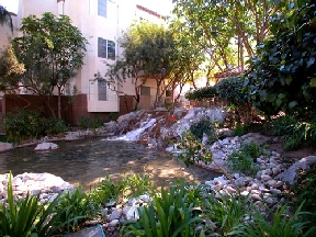 Playa Summit Luxury Apartments Image 10