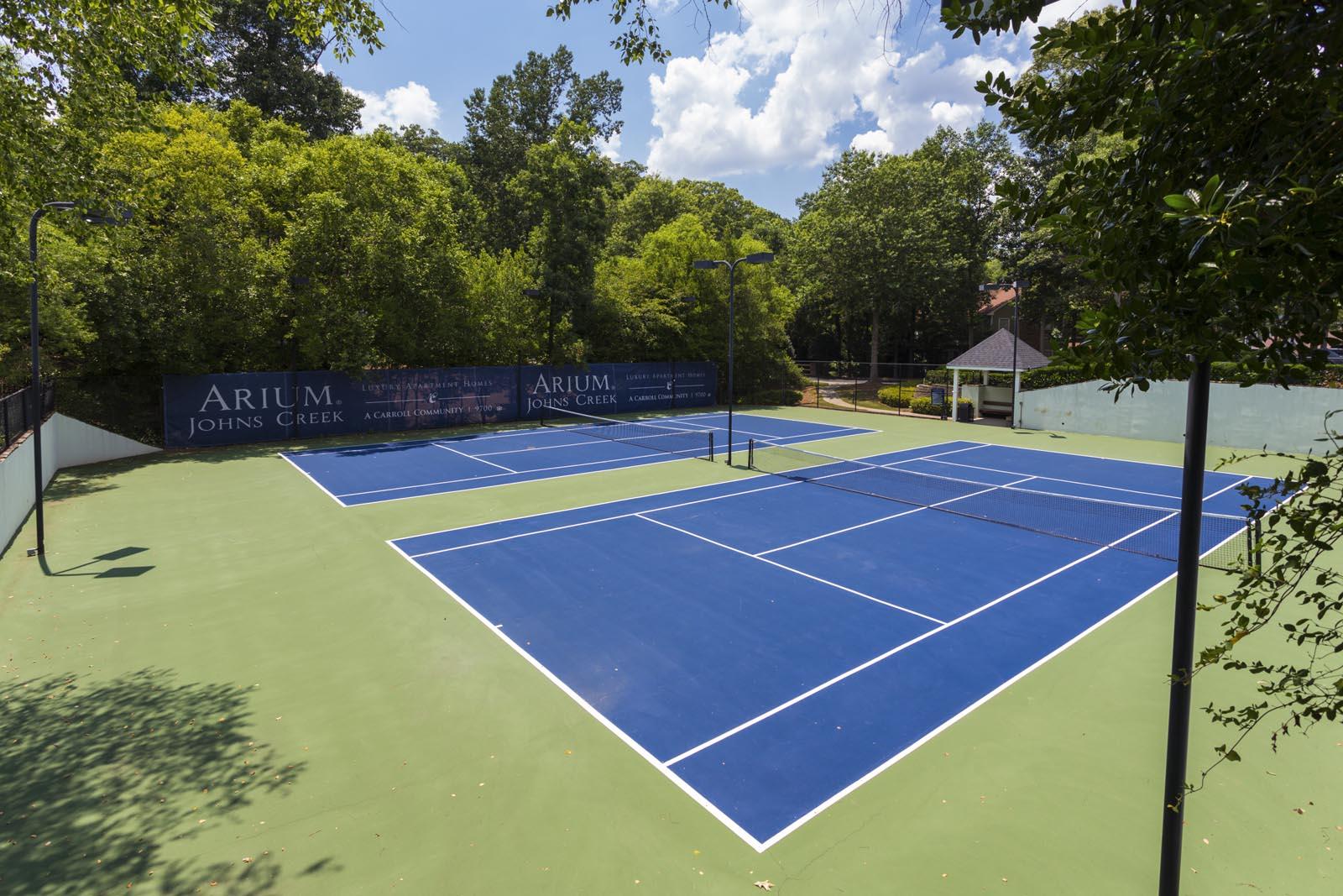 Arium Johns Creek Image 6