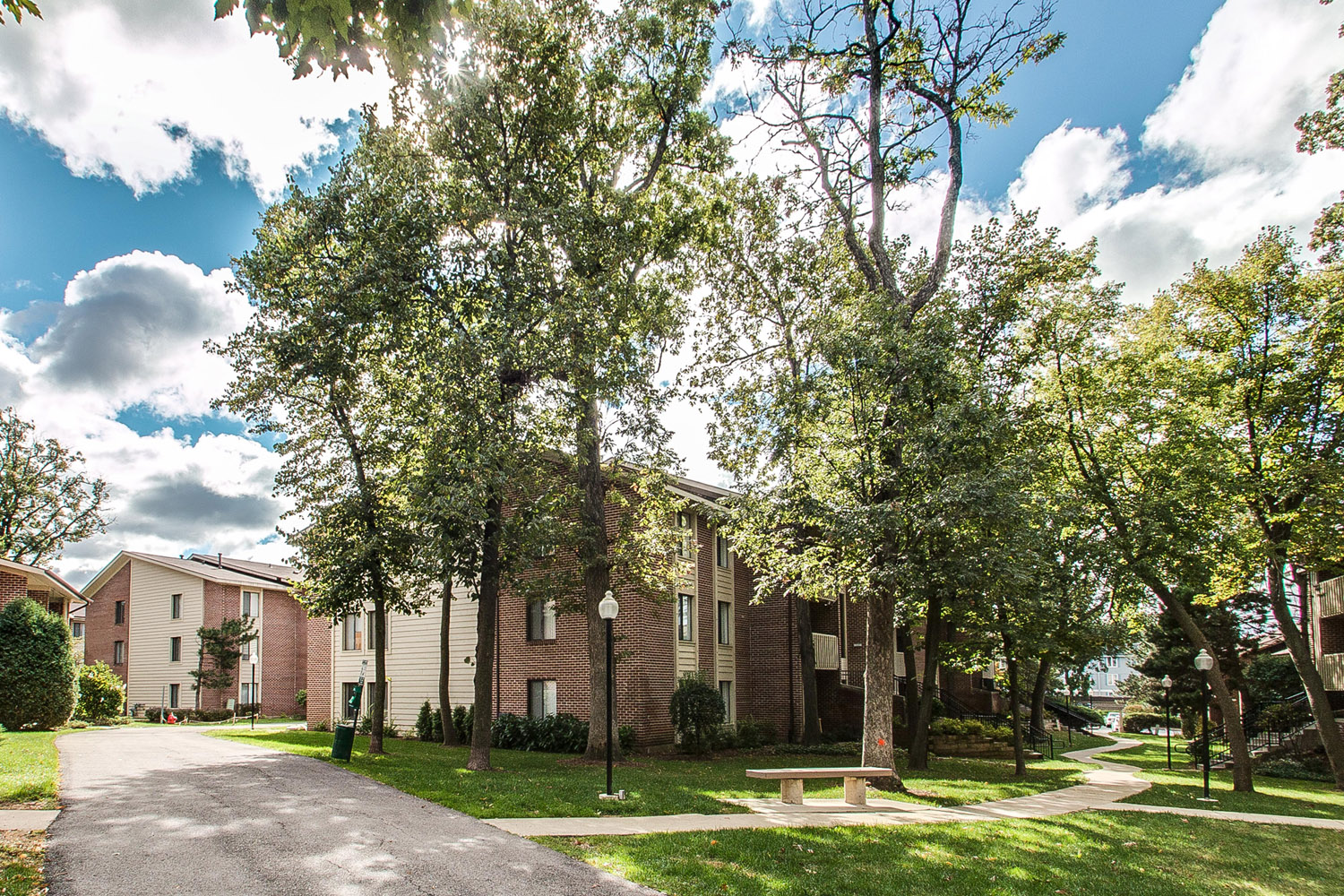 The Treehouse of Schaumburg Image 12