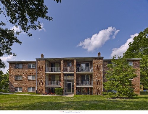 Eagle Stream Image 2